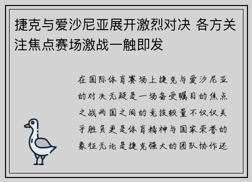 捷克与爱沙尼亚展开激烈对决 各方关注焦点赛场激战一触即发
